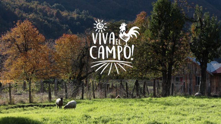 Desarrollo plataforma de comercialización Turismo Rural “Viva el Campo”