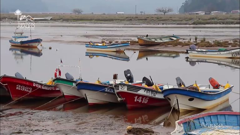 Arauco, Bío Bío, Chile
