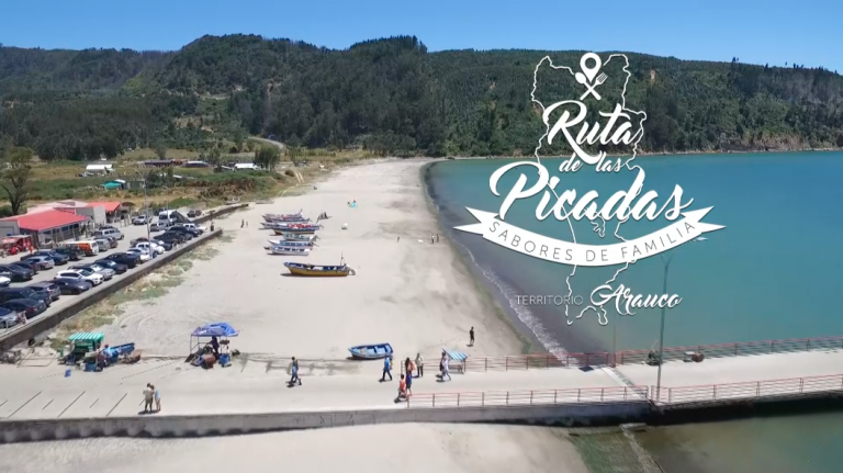 Campaña de Promoción turística “Ruta de las Picadas” Prov. de Arauco