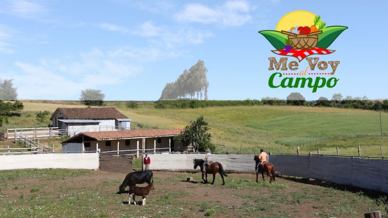 Promoción: Campaña “Me Voy al Campo” Territorio Amdel