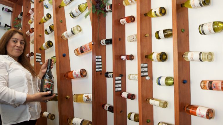 Tienda Mundo Rural, un espacio destinado a los vinos campesinos de la región de Ñuble.