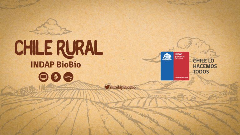 Indap Programa de Tv y programa de Radio