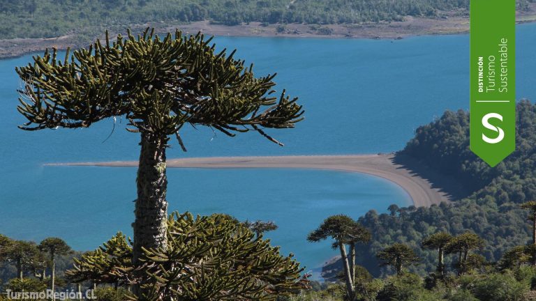 Turismo Sustentable, Sello “S”