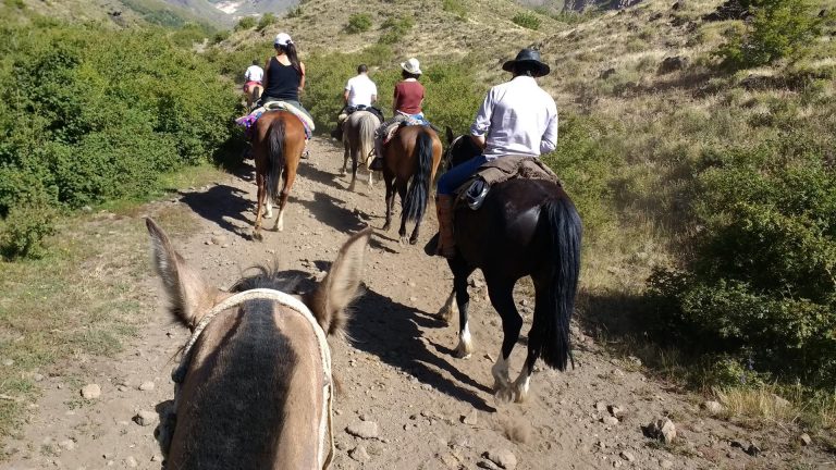 Crece el Turismo Rural